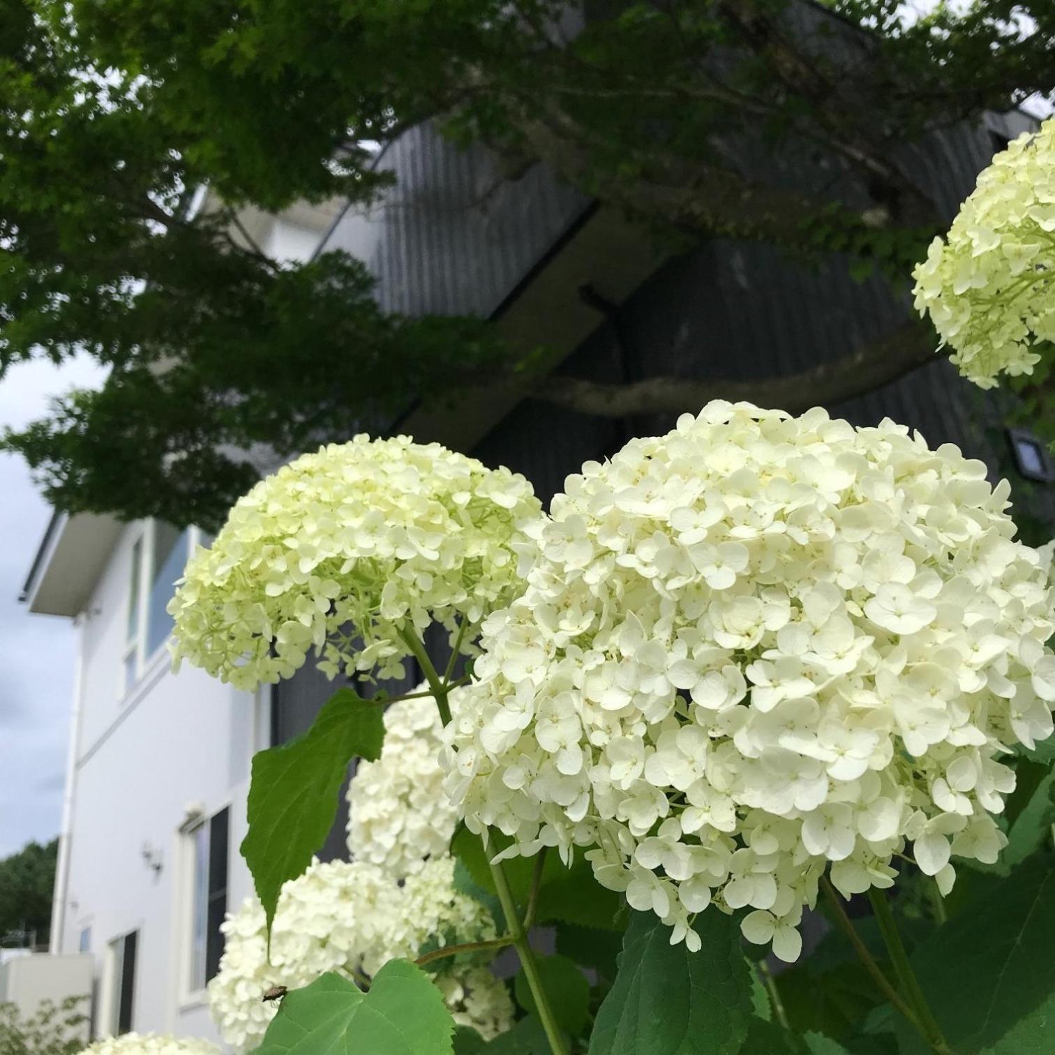פוג'יושידה Sweet Villa Takasama - Vacation Stay 11775 מראה חיצוני תמונה