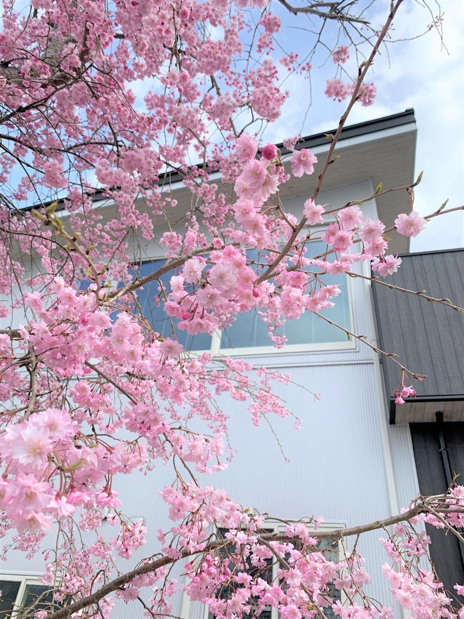 פוג'יושידה Sweet Villa Takasama - Vacation Stay 11775 מראה חיצוני תמונה
